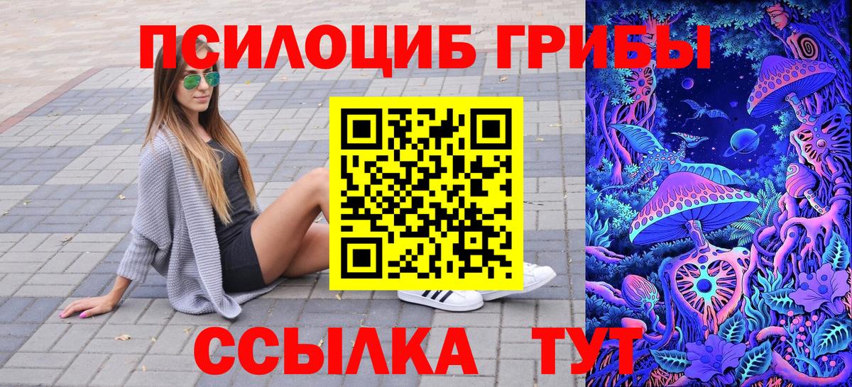 Галлюциногенные грибы Psilocybe Всеволожск